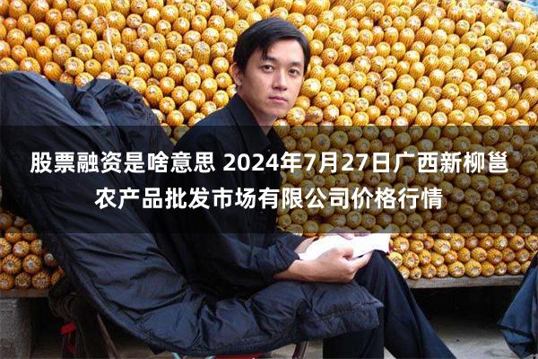 股票融资是啥意思 2024年7月27日广西新柳邕农产品批发市场有限公司价格行情