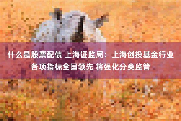 什么是股票配债 上海证监局：上海创投基金行业各项指标全国领先 将强化分类监管