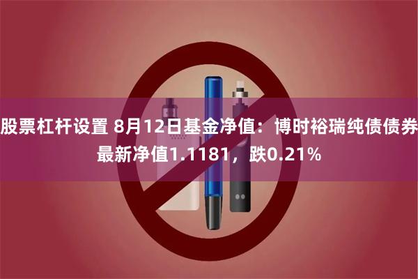 股票杠杆设置 8月12日基金净值：博时裕瑞纯债债券最新净值1.1181，跌0.21%