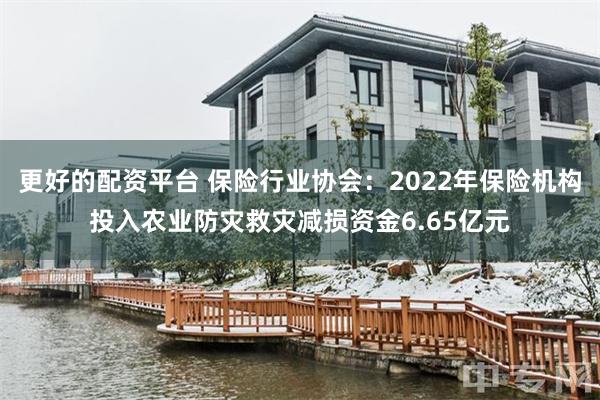 更好的配资平台 保险行业协会：2022年保险机构投入农业防灾救灾减损资金6.65亿元