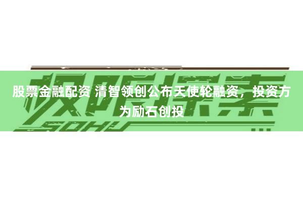 股票金融配资 清智领创公布天使轮融资，投资方为励石创投