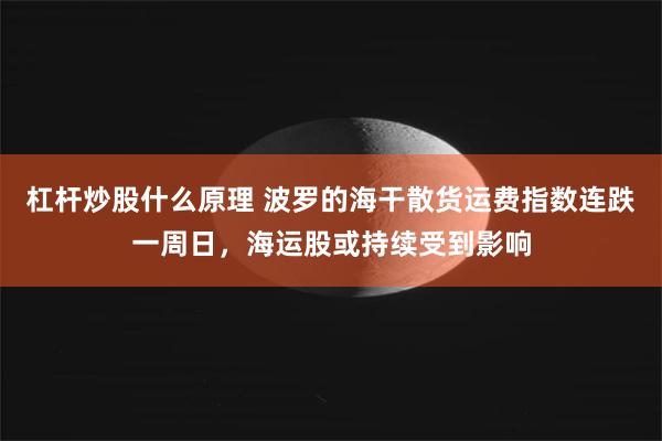 杠杆炒股什么原理 波罗的海干散货运费指数连跌一周日，海运股或持续受到影响