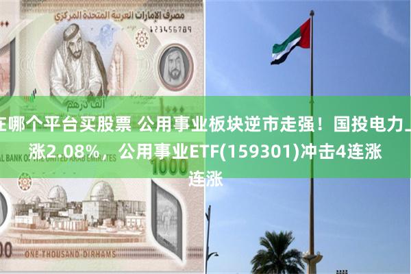 在哪个平台买股票 公用事业板块逆市走强！国投电力上涨2.08%，公用事业ETF(159301)冲击4连涨