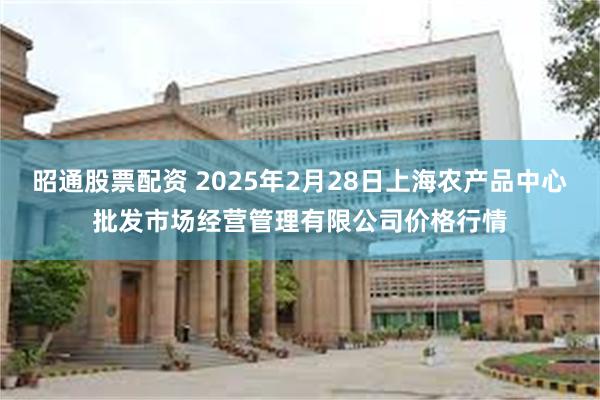 昭通股票配资 2025年2月28日上海农产品中心批发市场经营管理有限公司价格行情