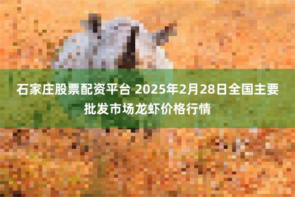 石家庄股票配资平台 2025年2月28日全国主要批发市场龙虾价格行情