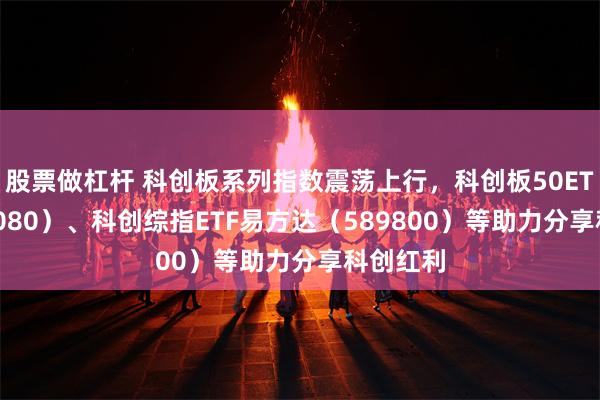 股票做杠杆 科创板系列指数震荡上行，科创板50ETF（588080）、科创综指ETF易方达（589800）等助力分享科创红利